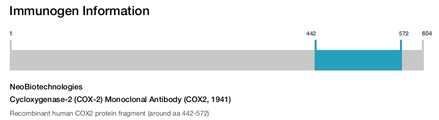 Cycloxygenase-2 (COX-2) Monoclonal Antibody (COX2, 1941)