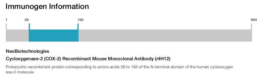 Cycloxygenase-2 (COX-2) Recombinant Mouse Monoclonal Antibody (r4H12)