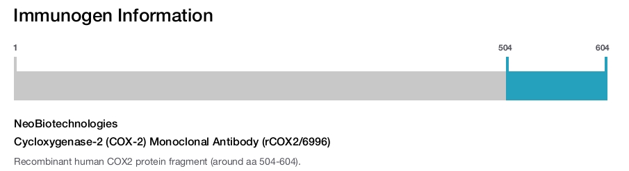 Cycloxygenase-2 (COX-2) Monoclonal Antibody (rCOX2/6996)