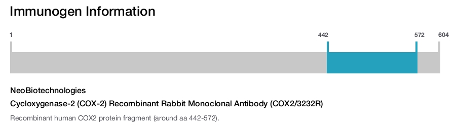 Cycloxygenase-2 (COX-2) Recombinant Rabbit Monoclonal Antibody (COX2/3232R)
