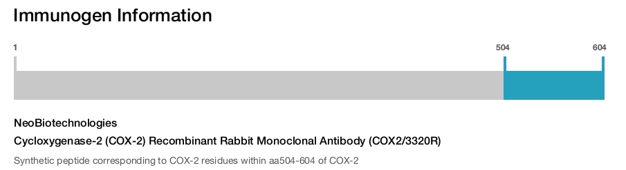 Cycloxygenase-2 (COX-2) Recombinant Rabbit Monoclonal Antibody (COX2/3320R)