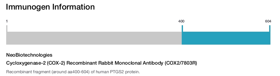 Cycloxygenase-2 (COX-2) Recombinant Rabbit Monoclonal Antibody (COX2/7803R)