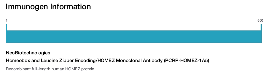 Homeobox and Leucine Zipper Encoding/HOMEZ Monoclonal Antibody (PCRP-HOMEZ-1A5)