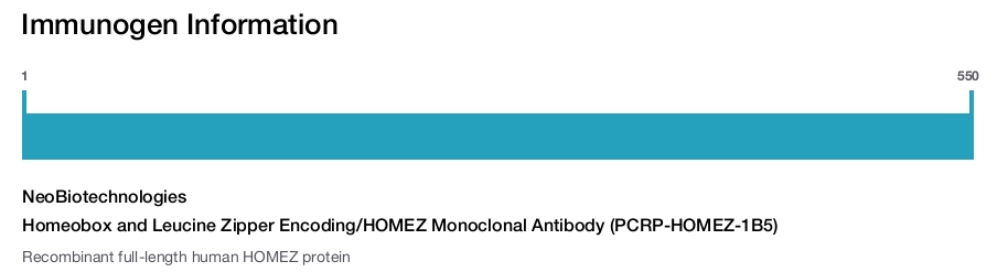 Homeobox and Leucine Zipper Encoding/HOMEZ Monoclonal Antibody (PCRP-HOMEZ-1B5)