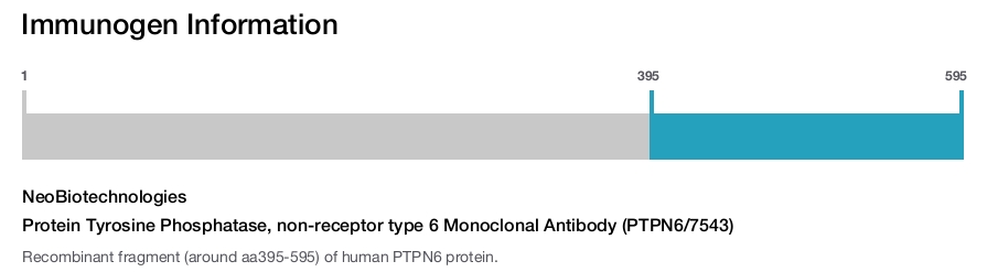 Protein Tyrosine Phosphatase, non-receptor type 6 Monoclonal Antibody (PTPN6/7543)