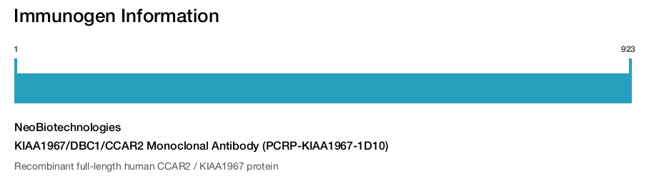 KIAA1967/DBC1/CCAR2 Monoclonal Antibody (PCRP-KIAA1967-1D10)