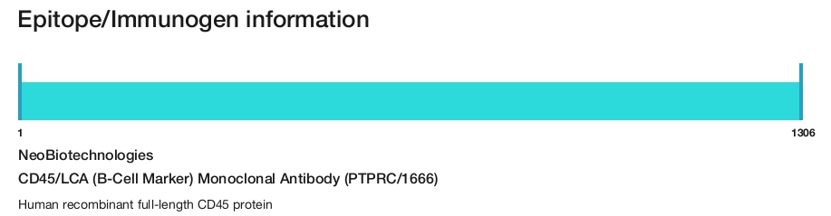 CD45/LCA (B-Cell Marker) Monoclonal Antibody (PTPRC/1666)