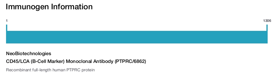 CD45/LCA (B-Cell Marker) Monoclonal Antibody (PTPRC/6862)