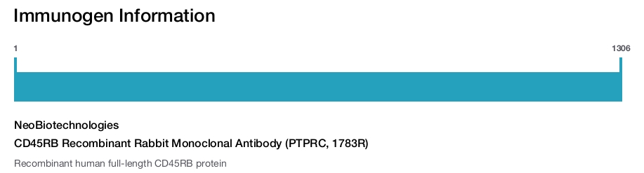 CD45RB Recombinant Rabbit Monoclonal Antibody (PTPRC, 1783R)