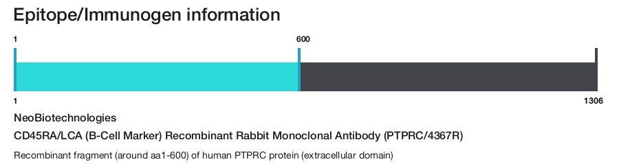 CD45RA/LCA (B-Cell Marker) Recombinant Rabbit Monoclonal Antibody (PTPRC/4367R)