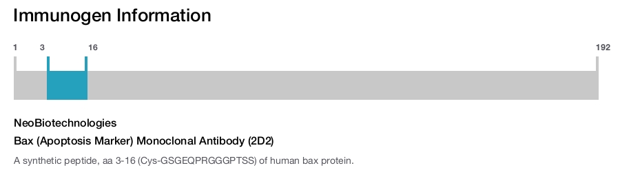 Bax (Apoptosis Marker) Monoclonal Antibody (2D2)