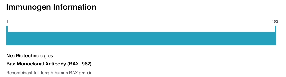 Bax Monoclonal Antibody (BAX, 962)