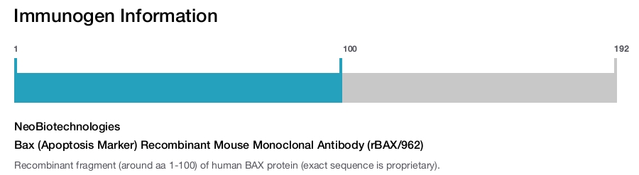 Bax (Apoptosis Marker) Recombinant Mouse Monoclonal Antibody (rBAX/962)