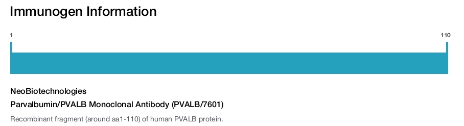 Parvalbumin/PVALB Monoclonal Antibody (PVALB/7601)