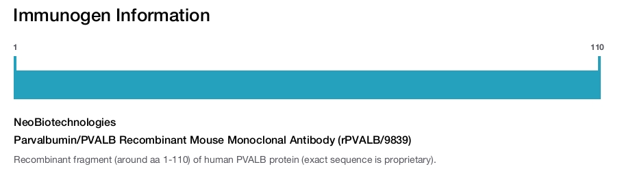 Parvalbumin/PVALB Recombinant Mouse Monoclonal Antibody (rPVALB/9839)