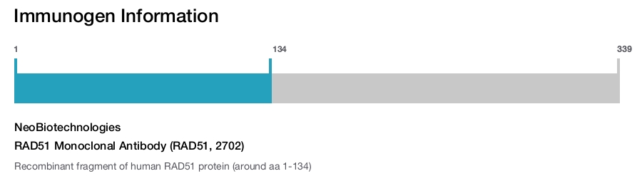 RAD51 Monoclonal Antibody (RAD51, 2702)
