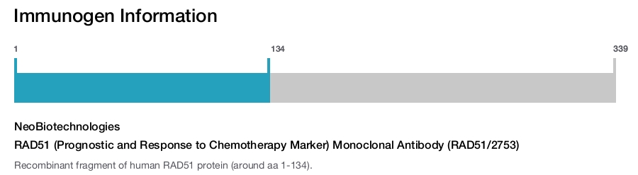 RAD51 (Prognostic and Response to Chemotherapy Marker) Monoclonal Antibody (RAD51/2753)