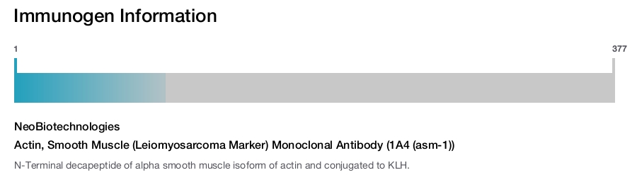 Actin, Smooth Muscle (Leiomyosarcoma Marker) Monoclonal Antibody (1A4 (asm-1))