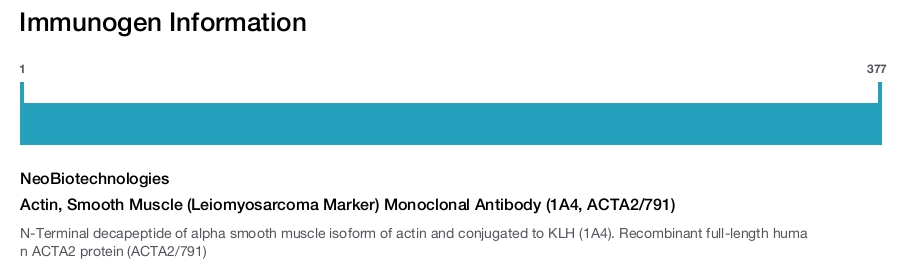 Actin, Smooth Muscle (Leiomyosarcoma Marker) Monoclonal Antibody (1A4, ACTA2/791)