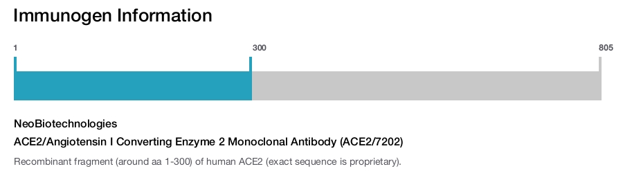 ACE2/Angiotensin I Converting Enzyme 2 Monoclonal Antibody (ACE2/7202)
