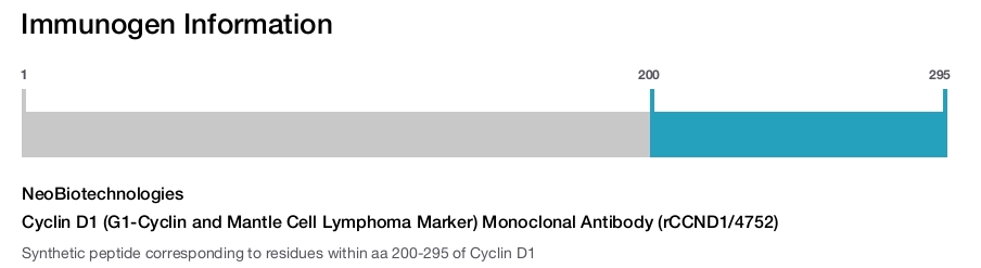 Cyclin D1 (G1-Cyclin and Mantle Cell Lymphoma Marker) Monoclonal Antibody (rCCND1/4752)