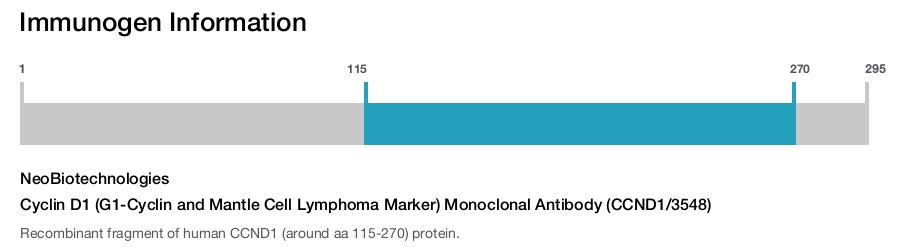 Cyclin D1 (G1-Cyclin and Mantle Cell Lymphoma Marker) Monoclonal Antibody (CCND1/3548)