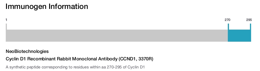 Cyclin D1 Recombinant Rabbit Monoclonal Antibody (CCND1, 3370R)