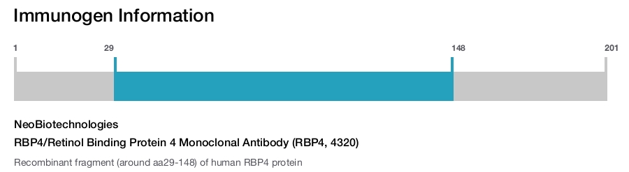 RBP4/Retinol Binding Protein 4 Monoclonal Antibody (RBP4, 4320)