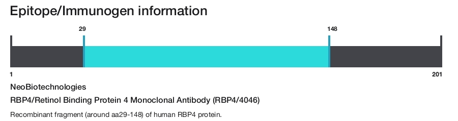 RBP4/Retinol Binding Protein 4 Monoclonal Antibody (RBP4/4046)