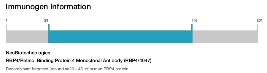 RBP4/Retinol Binding Protein 4 Monoclonal Antibody (RBP4/4047)