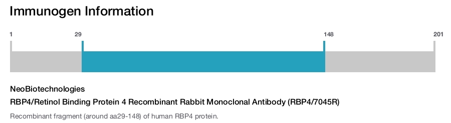 RBP4/Retinol Binding Protein 4 Recombinant Rabbit Monoclonal Antibody (RBP4/7045R)