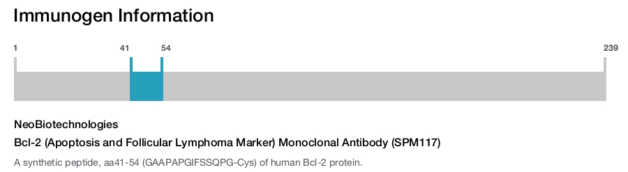 Bcl-2 (Apoptosis and Follicular Lymphoma Marker) Monoclonal Antibody (SPM117)