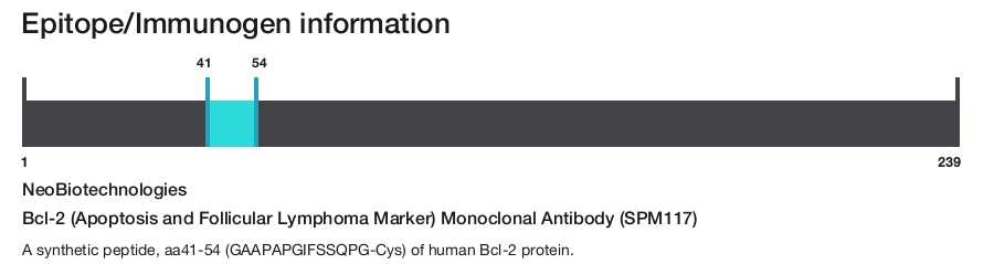 Bcl-2 (Apoptosis and Follicular Lymphoma Marker) Monoclonal Antibody (SPM117)