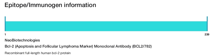 Bcl-2 (Apoptosis and Follicular Lymphoma Marker) Monoclonal Antibody (BCL2/782)