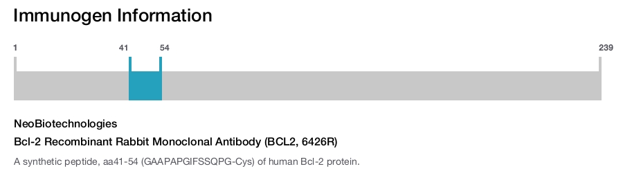 Bcl-2 Recombinant Rabbit Monoclonal Antibody (BCL2, 6426R)