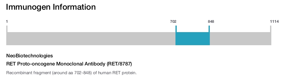 RET Proto-oncogene Monoclonal Antibody (RET/8787)