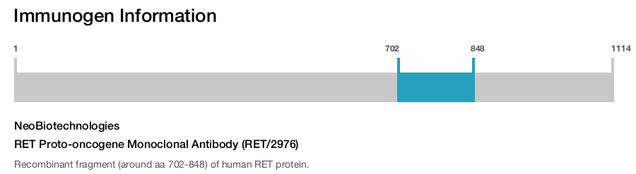 RET Proto-oncogene Monoclonal Antibody (RET/2976)