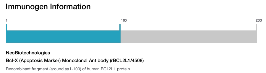 Bcl-X (Apoptosis Marker) Monoclonal Antibody (rBCL2L1/4508)