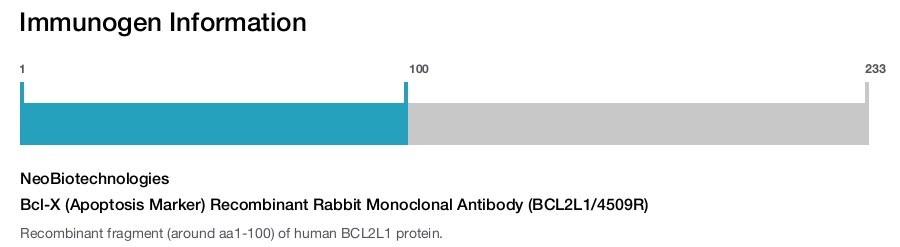 Bcl-X (Apoptosis Marker) Recombinant Rabbit Monoclonal Antibody (BCL2L1/4509R)