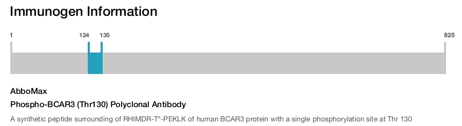 Phospho-BCAR3 (Thr130) Polyclonal Antibody