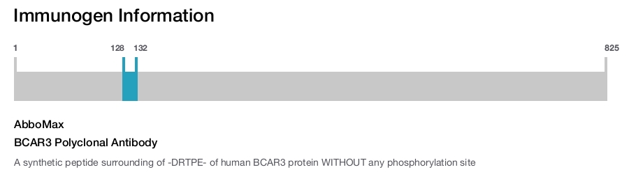 BCAR3 Polyclonal Antibody