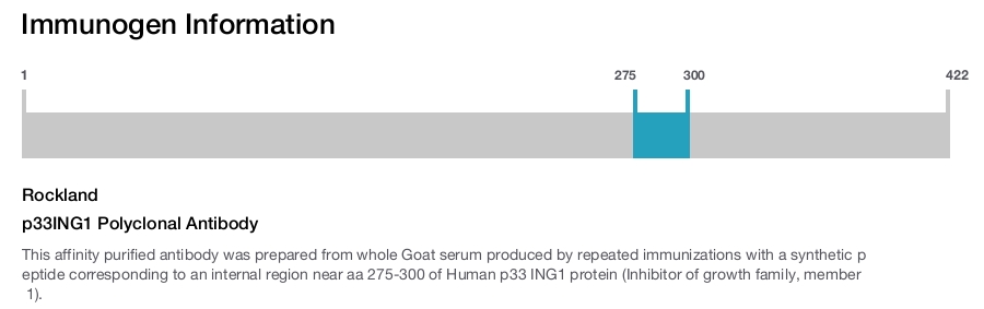 p33ING1 Polyclonal Antibody