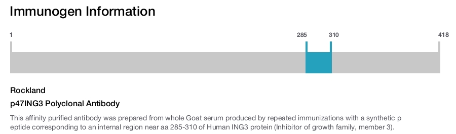 p47ING3 Polyclonal Antibody