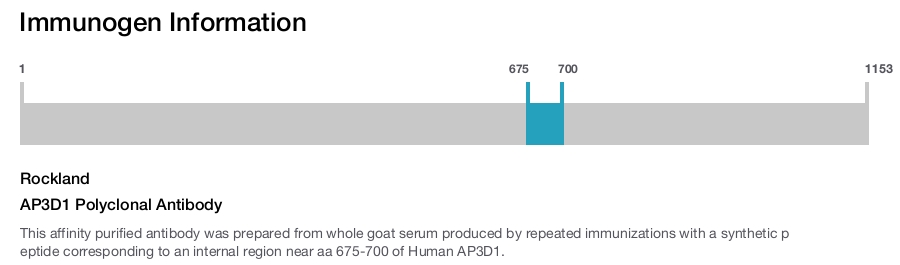 AP3D1 Polyclonal Antibody