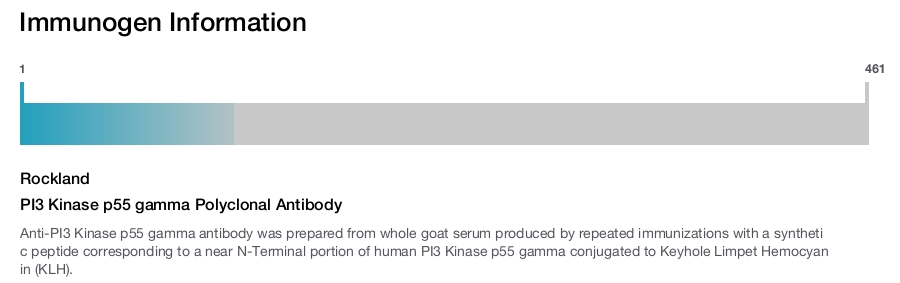 PI3 Kinase p55 gamma Polyclonal Antibody