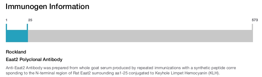 Eaat2 Polyclonal Antibody