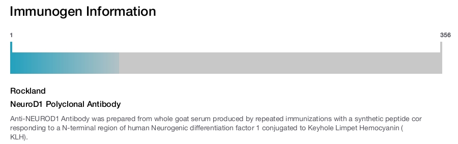 NeuroD1 Polyclonal Antibody