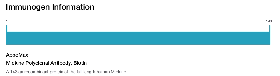 Midkine Polyclonal Antibody, Biotin
