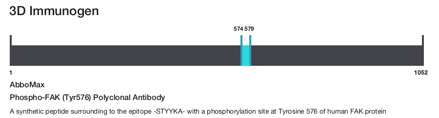 Phospho-FAK (Tyr576) Polyclonal Antibody