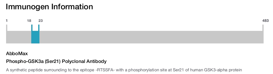 Phospho-GSK3a (Ser21) Polyclonal Antibody